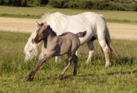 grian25aug10 003.jpg