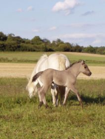 grian25aug10 012.jpg