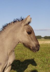 grian25aug10 057.jpg